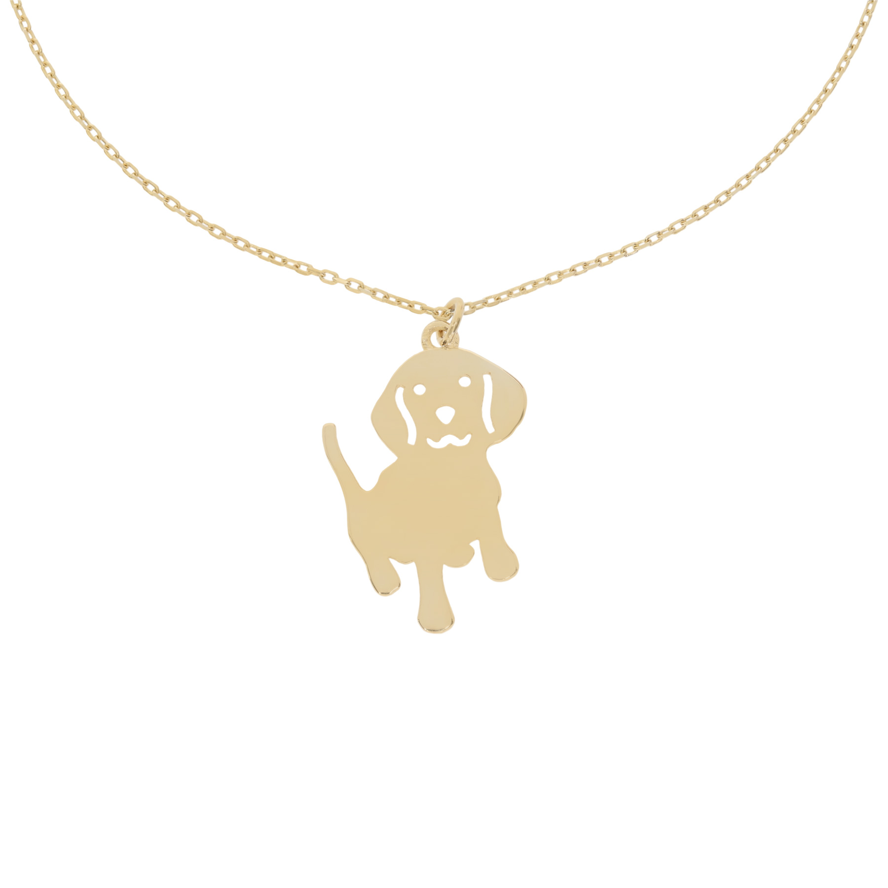 Collierkette-mit-Hund.jpg